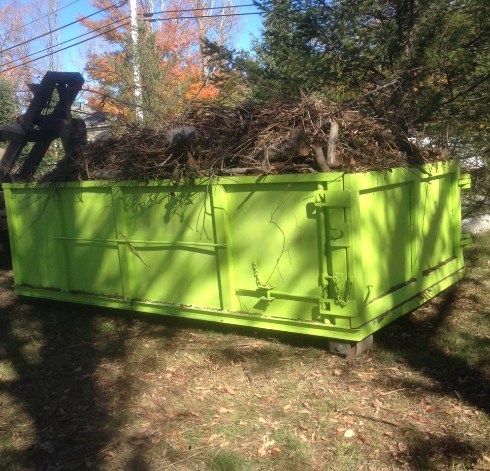 Tree Removal Dumpster Services, Lake Worth Junk Removal and Trash Haulers