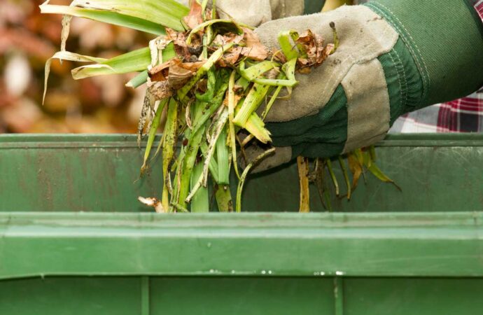 Yard Waste Dumpster Services, Lake Worth Junk Removal and Trash Haulers